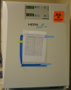HeraCell Incubator